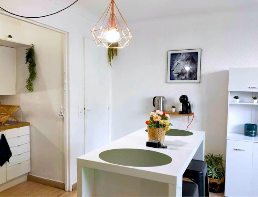 Studio Proche Centre Wifi Parking Apartment Montpellier Ngoại thất bức ảnh