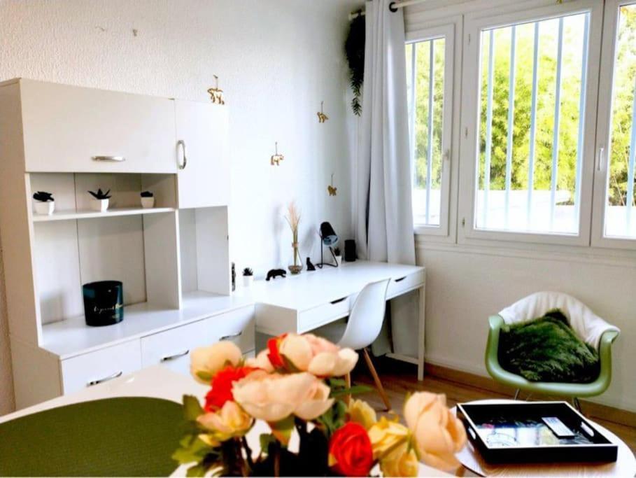 Studio Proche Centre Wifi Parking Apartment Montpellier Ngoại thất bức ảnh